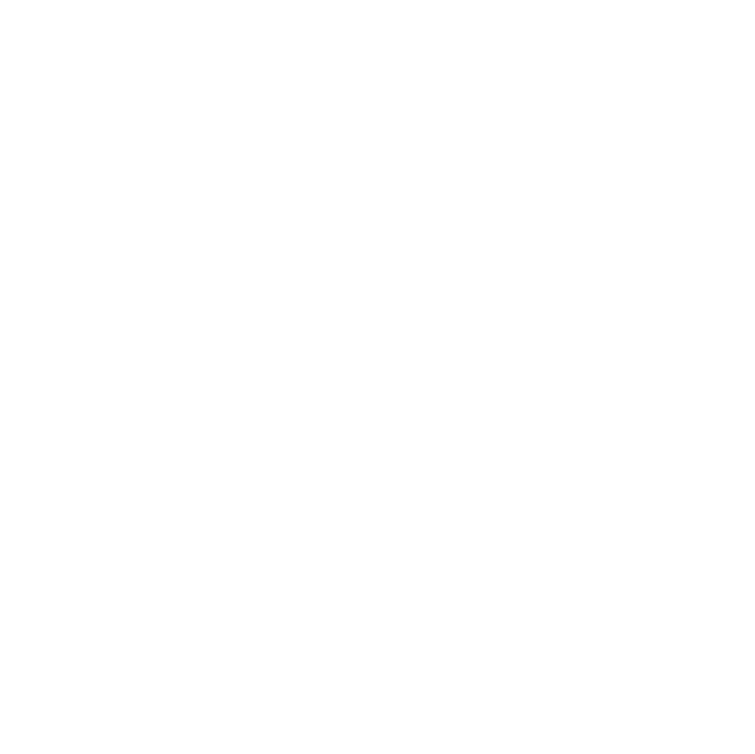 logo DAN Solutions